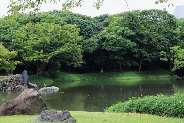 Traditional Japanese park in Tokyo — Stock Photo, Image