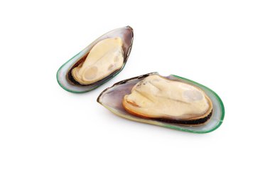 Beyaz arka plan üzerinde izole Akdeniz midye