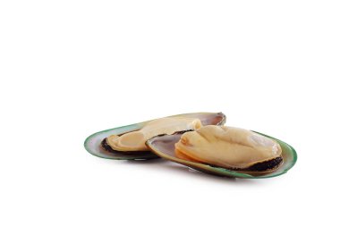 Beyaz arka plan üzerinde izole Akdeniz midye