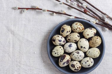 Yumurtalı ve söğütlü Paskalya kartı için arka plan