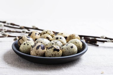 Yumurtalı ve söğütlü Paskalya kartı için arka plan