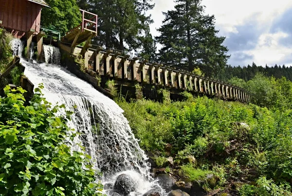 Перелив воды деревянной мельницы в зеленой растительности — стоковое фото