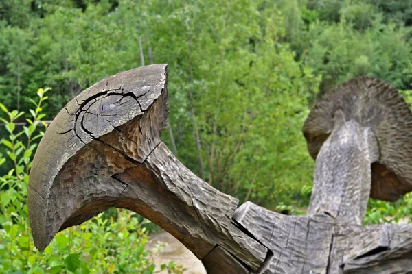El arte en la naturaleza - la seta de madera delante del verde — Foto de Stock