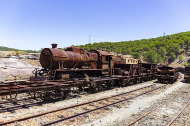 Flamencos Corriendo tr Marismas de Odiel de Huelva