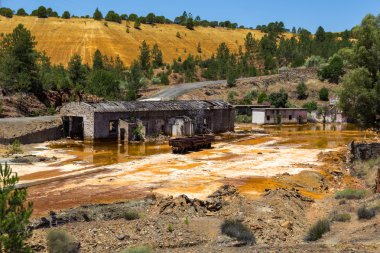 Arabanın içinde ölü tren kadar görünümü Tren
