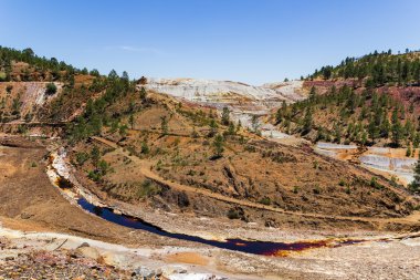 Rio Tinto river gidiş yalak çam ağaçları ile küçük bir kanyon