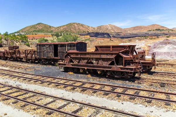 Tren Paslı Vagonlar Peyzaj — Stok fotoğraf