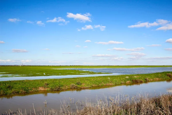 Bela Paisagem Grama Céu Reserva Natural Parque Nacional Donana Andaluzia — Fotografia de Stock