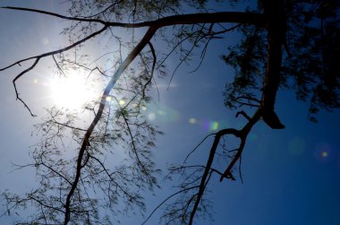 Mavi gökyüzüne karşı fantastik yumuşak beyaz bulutlar