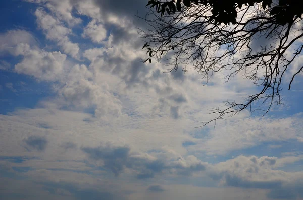 Fantastiche Nuvole Bianche Morbide Contro Cielo Blu — Foto Stock