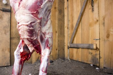 Bir koyun kurullarının bir arka plan üzerinde karkas