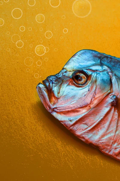 Kurutulmuş balık Vomero