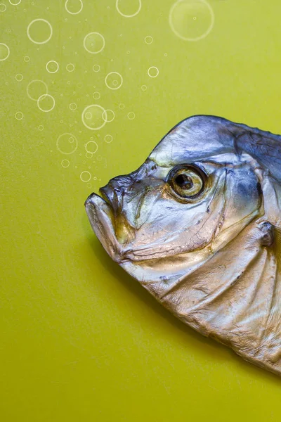 Kurutulmuş balık Vomero