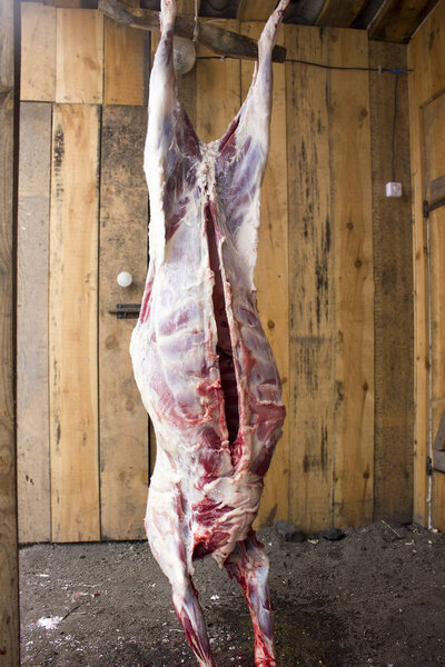 The carcass of a sheep on a background of boards