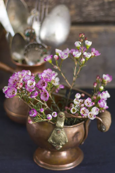 Bir bronz kül tavada pembe çiçekler — Stok fotoğraf