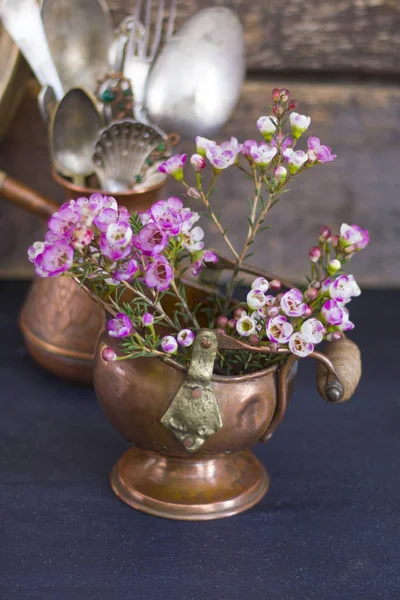 Rosa Blüten in einer Bronzeasche — Stockfoto