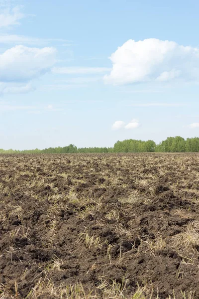 Toprak çiftçilik. Tohum Ekim için zemin hazırlama