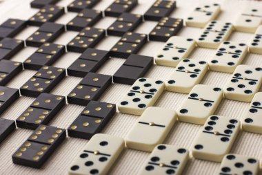 Domino siyah ve beyaz vardır. Açık renkli.