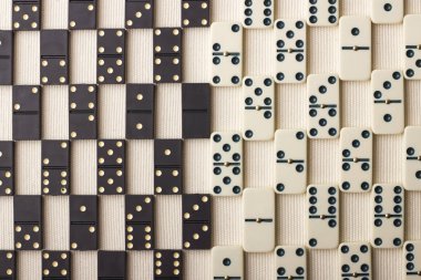 Domino siyah ve beyaz vardır. Açık renkli.