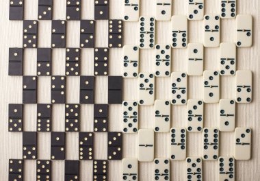 Domino siyah ve beyaz vardır. Açık renkli.