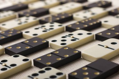 Domino siyah ve beyaz vardır. Açık renkli.