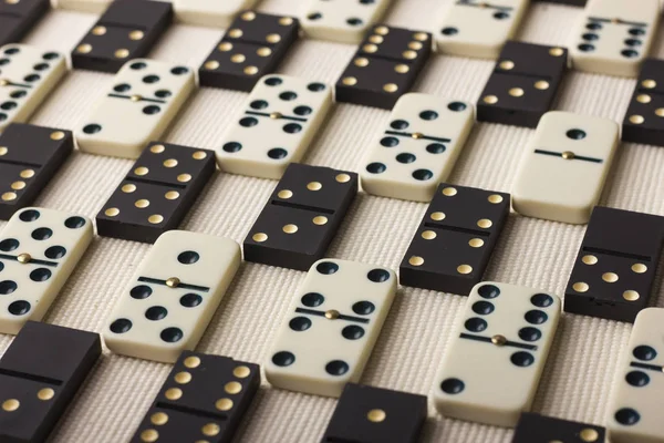 Domino siyah ve beyaz vardır. Açık renkli.