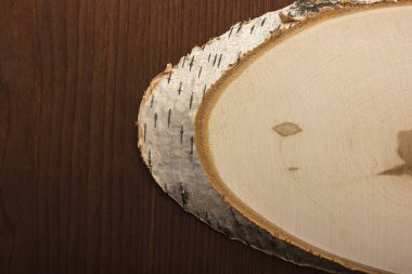 Bir kesim beyaz huş ağacı olduğunu. Karanlık bir ağaç arka planı