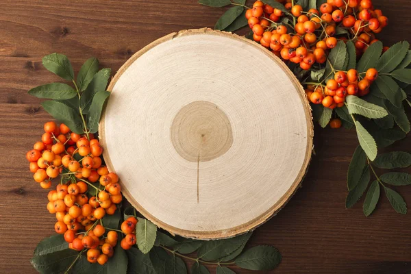 emplate kesme gelen rowan dalları ile beyaz huş ağacı olduğunu