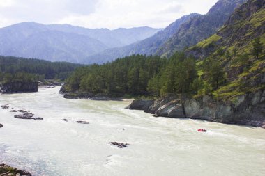 Çok güzel dağ nehir Katun. Rusya, Sibirya, Altay