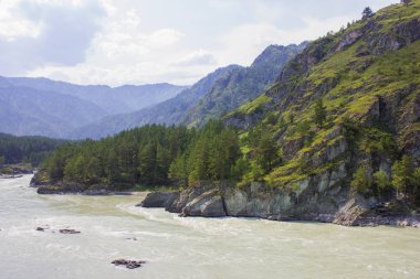 Çok güzel dağ nehir Katun. Rusya, Sibirya, Altay