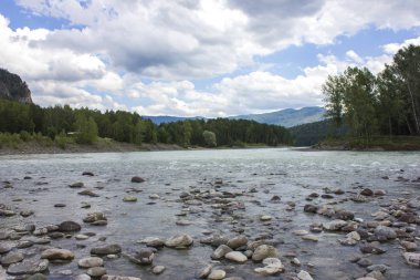 Çok güzel dağ nehir Katun. Rusya, Sibirya, Altay 