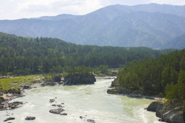 Çok güzel dağ nehir Katun. Rusya, Sibirya, Altay