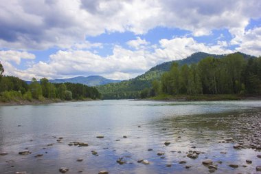 Çok güzel dağ nehir Katun. Rusya, Sibirya, Altay