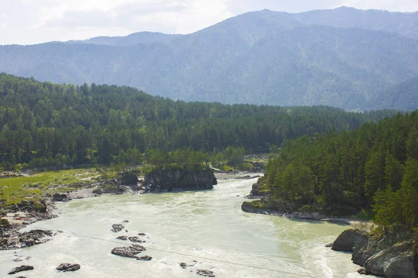 Çok güzel dağ nehir Katun. Rusya, Sibirya, Altay