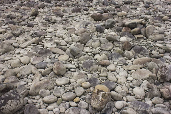 各种鹅卵石沙滩石。石头的纹理。背景 — 图库照片