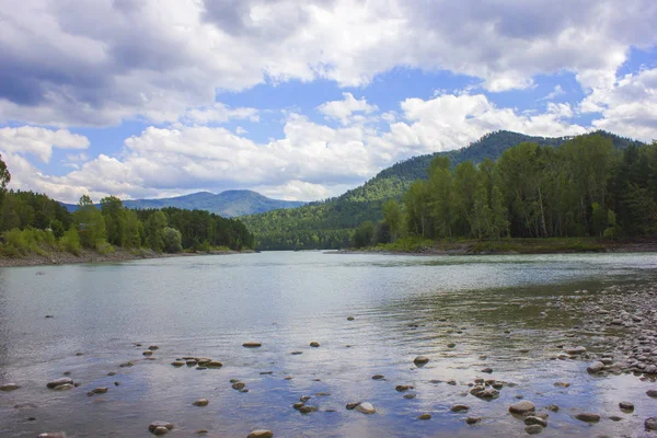 Çok güzel dağ nehir Katun. Rusya, Sibirya, Altay