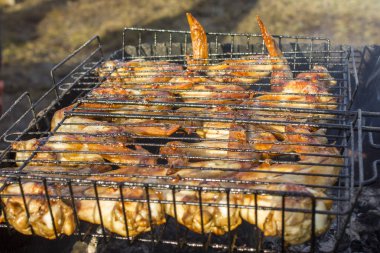 kızarmış tavuk kanatları. Piknik 