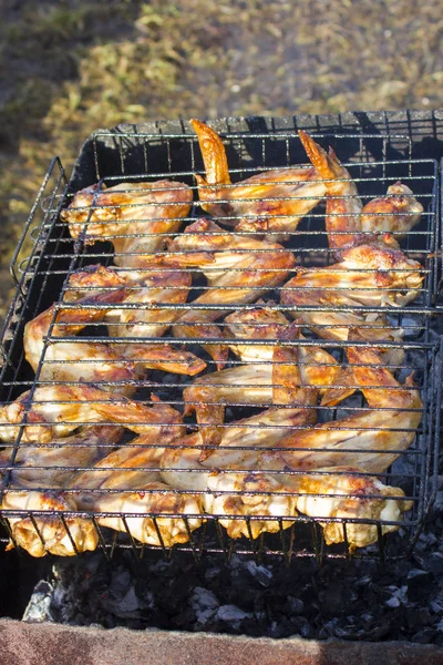 Gebratene Chicken Wings. Picknick — Stockfoto