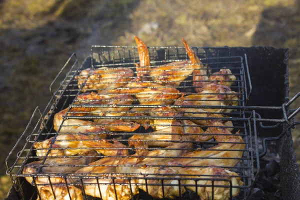 kızarmış tavuk kanatları. Piknik 