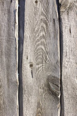 Doku eski ahşap doku doğal desen veya doku eski ahşap ile. Ahşap doku ile beyaz yüzey. Organik ahşap doku arka plan 