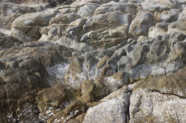 Arka plan. Taş, arka plan, doku. Dekorasyon malzemeleri 