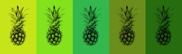 Set Colored Pineapples Abstract Background Background — Stock Photo, Image