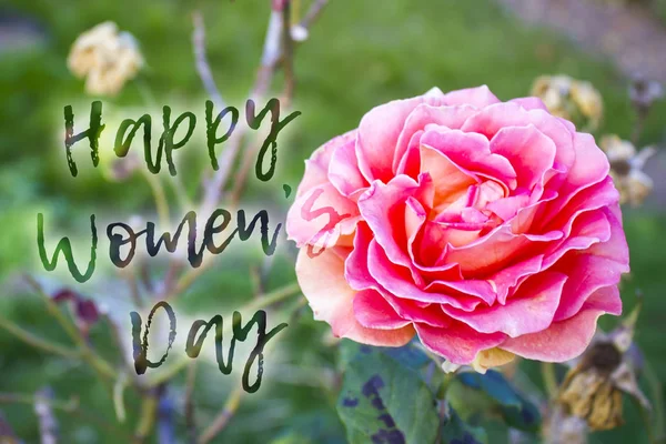 Ziua Femeii Fericite Felicitări Florale Flori Fundal Vacanță Pentru Designul — Fotografie, imagine de stoc