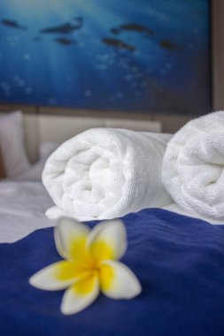 Beyaz havlu. Spa kavramı. Kopya alanı 1