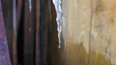 Damlayan buz saçakları. Ahşap bir arka planda buz saçakları eritiyor. Sonsuz döngü