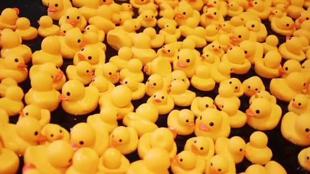 Masse Canards Jaunes Caoutchouc Nageant Dans Une Piscine Eau Sombre — Video