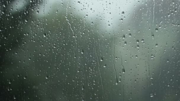 Chuva em uma janela câmera lenta — Vídeo de Stock
