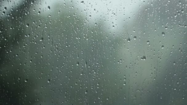 Lluvia cayendo por la ventana — Vídeo de stock