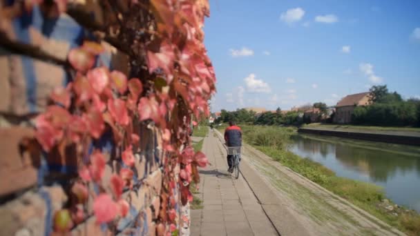 Cyclistes rouler le long de la rivière — Video