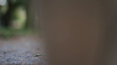 Giden kadınlar boots